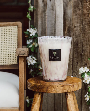 Duftkerze White Pearls Baobab Duftkerze White Pearls Baobab
