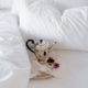 Molton Spannbettlaken