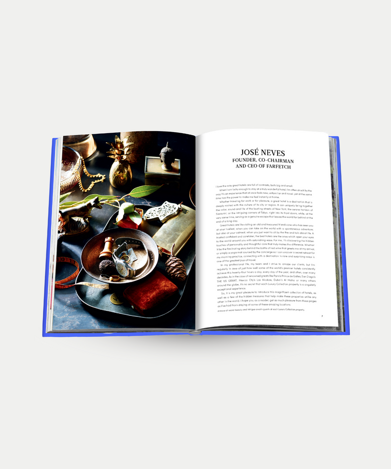 The Luxury Collection: Hotel Secrets - Assouline Coffee Table Book