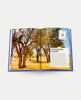The Luxury Collection: Hotel Secrets - Assouline Coffee Table Book The Luxury Collection: Hotel Secrets - Assouline Coffee Table Book