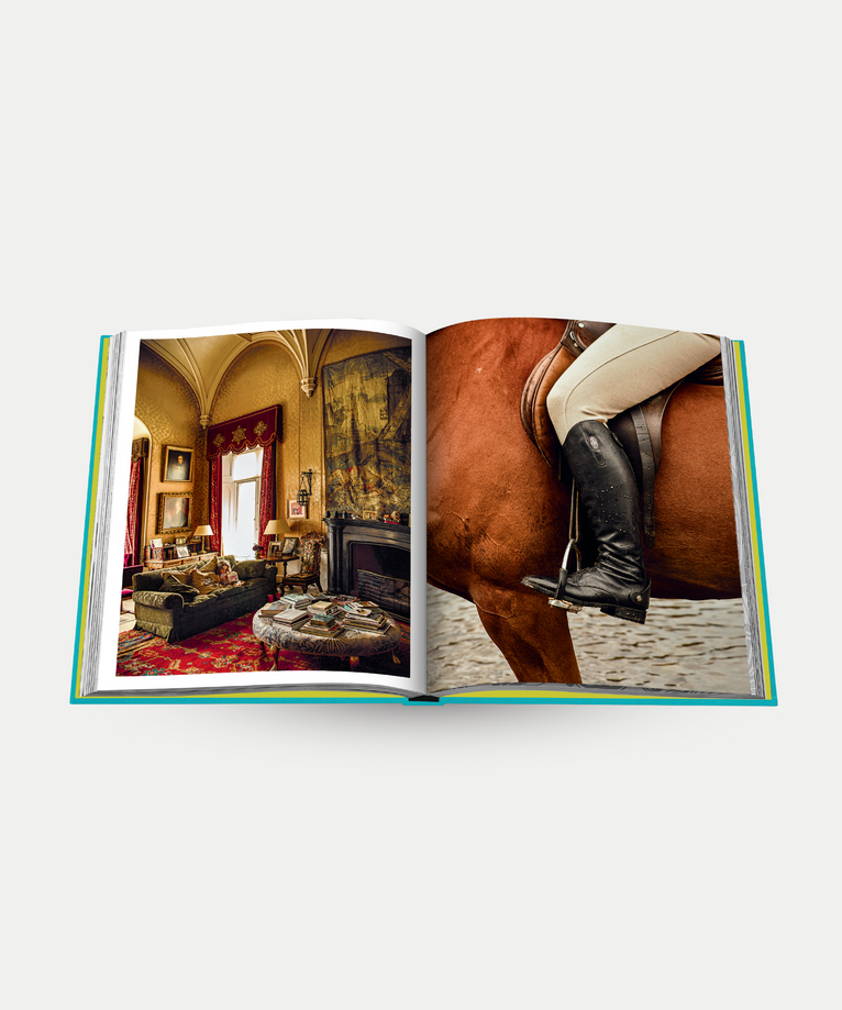 Chic Stays - Assouline Coffee Table Book