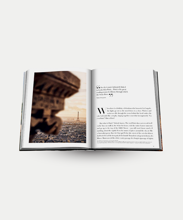 Paris Chic - Assouline Coffee Table Book