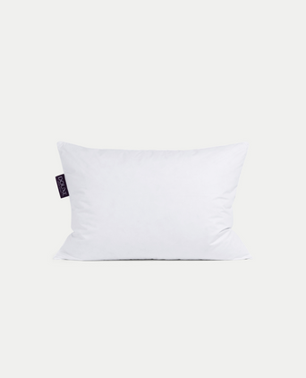Kinderkissen Daunen 50x70 cm - Petit Hôtel Kinderkissen Daunen 50x70 cm - Petit Hôtel