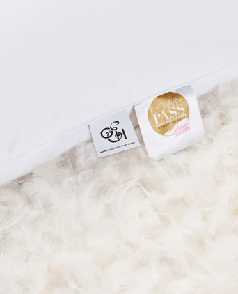 Efteling Grand Hotel Daunenkissen 50x90 cm Efteling Grand Hotel Daunenkissen 50x90 cm