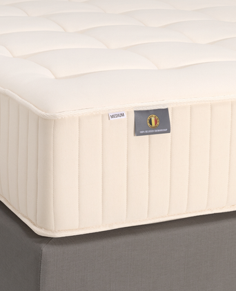DOUXE Matratze Pocketfeder Genossen Prestige DOUXE Matratze Pocketfeder Genossen Prestige