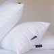 Hotel Kissen DOUXE | Hotel Luxus | Daunenkissen 50x70cm