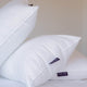 DOUXE Hotelkissen Mikrofaser - 50x90 cm