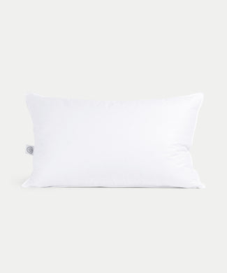 Conservatorium Hotelkissen | Kingsize | 60x90 cm