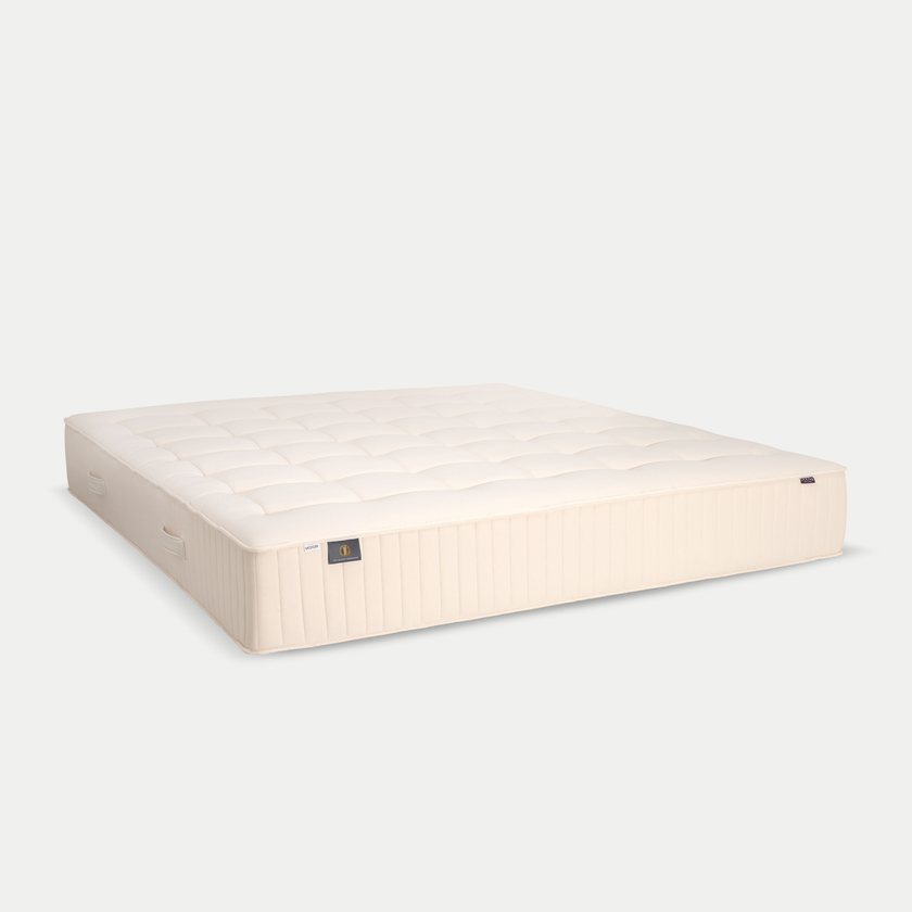 DOUXE Matratze Pocketfeder Genossen Prestige
