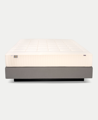 DOUXE Matratze Pocketfeder Genossen Prestige